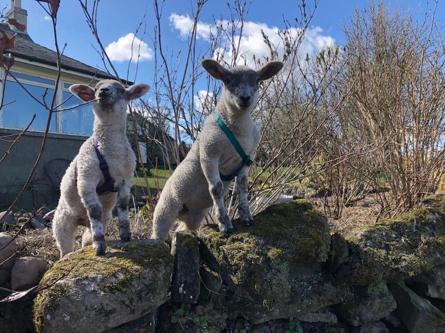 The Steading At Pitmeadow Farm Villa Dunning Bagian luar foto